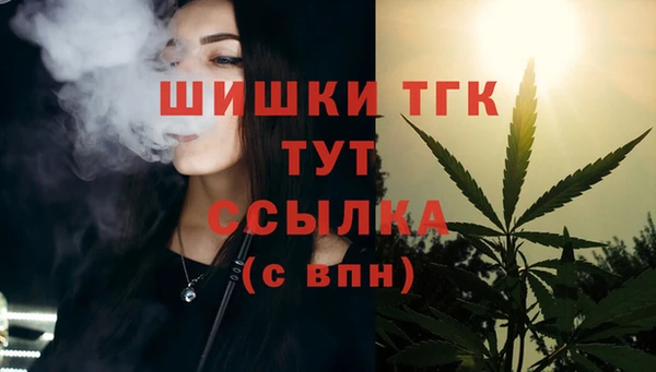 PSILOCYBIN Козловка