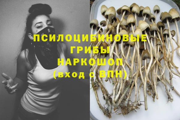 СК Кодинск