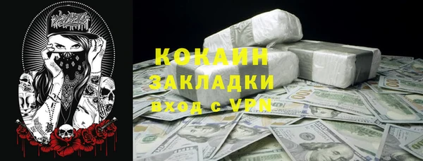 PSILOCYBIN Козловка