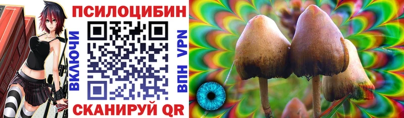 Псилоцибиновые грибы GOLDEN TEACHER  Купить  Плавск 