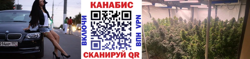 Купить где  Плавск  Бошки марихуана MAZAR 